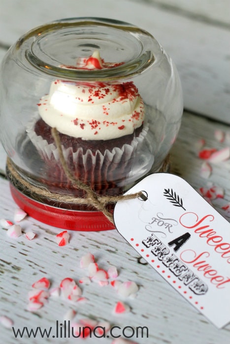 Cupcake Gift Jar!! So cute and unique!! Keep upside down or turn it right side up & fill with treats!