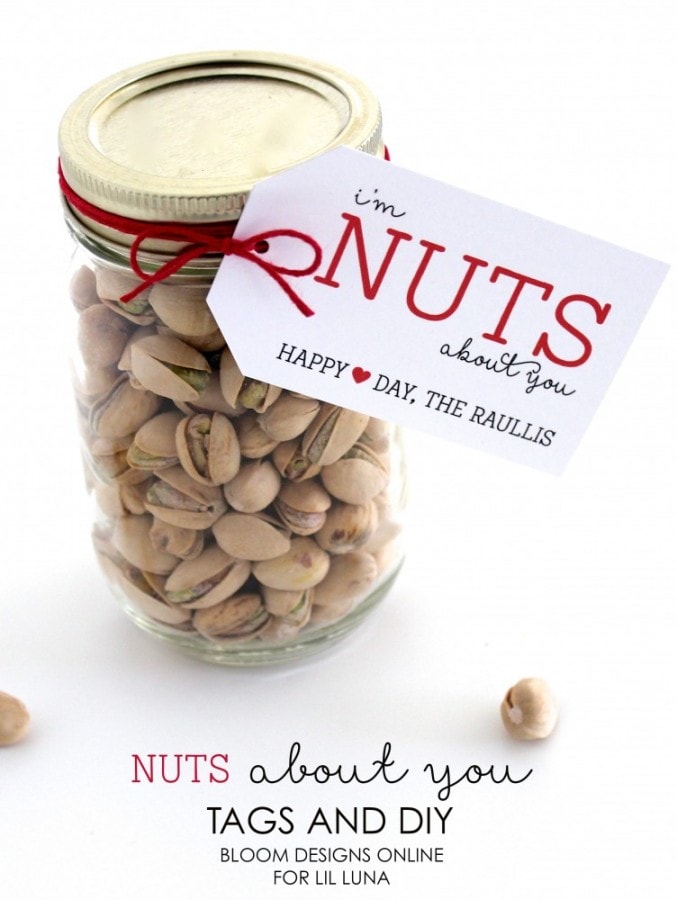 Adorable Nuts About You Jar perfect for Valentine's Day. Free prints on { lilluna.com }