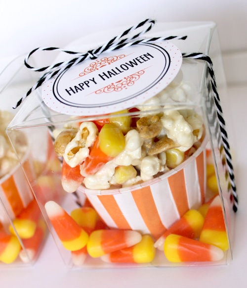 25+ Halloween Gift Ideas for neighbors and friends!! { lilluna.com } Cute and easy to put together ideas!!