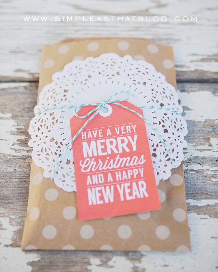 20+ Pretty Packaging Ideas - so many cute ideas for packaging Christmas gifts!! { lilluna.com }