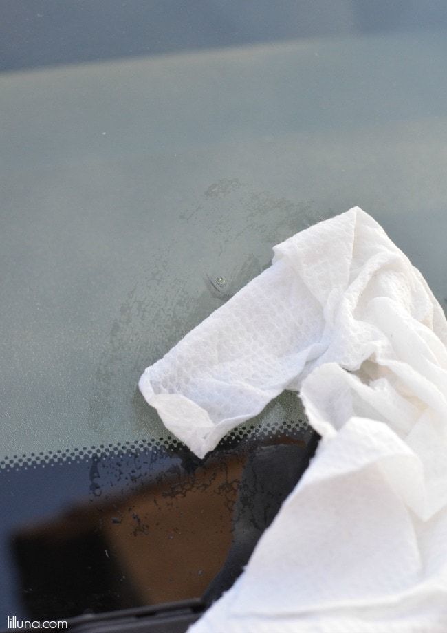 How to keep a windshield crack from spreading! Brilliant! Great tip and it only takes one thing - nail polish!!