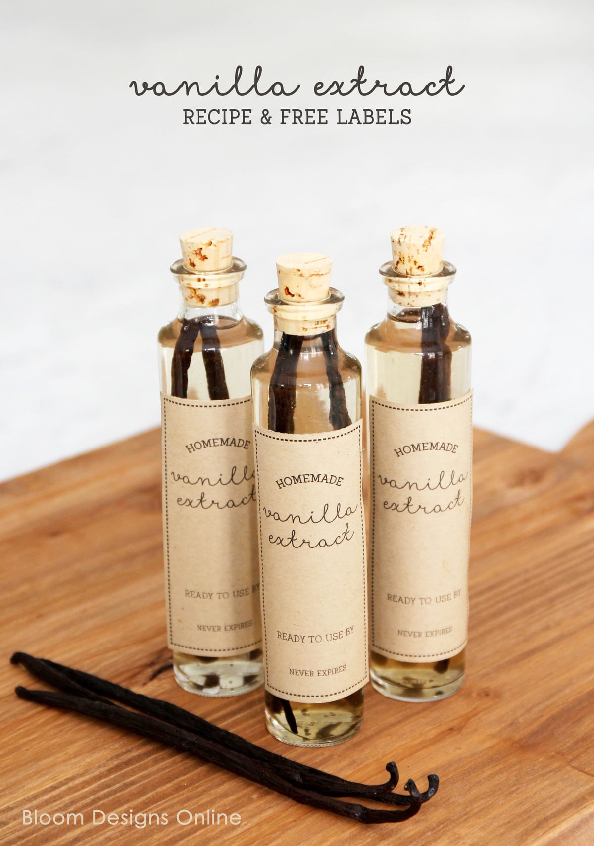 Homemade Vanilla Extract and gift idea. Such a simple and yummy handmade gift idea for anytime (especially the holidays!!) Get the free printable tags for this cute gift!