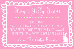 Easter - Magic Jelly Beans - PINK