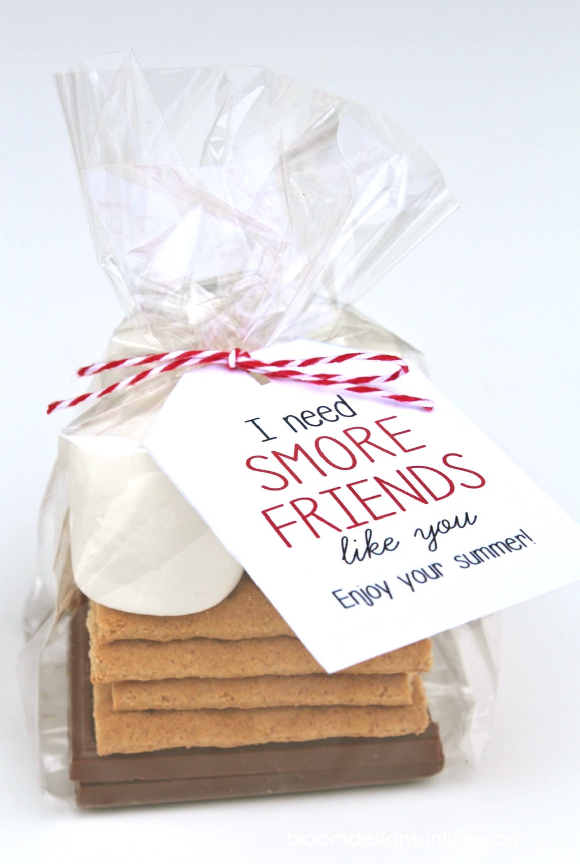 Cute End of the School Year Gift for Friends - I need Smore Friends like you! Free print on { lilluna.com } All your friend needs to make a delicious smore.