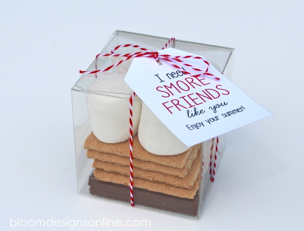 Cute End of the School Year Gift for Friends - I need Smore Friends like you! Free print on { lilluna.com } All your friend needs to make a delicious smore.