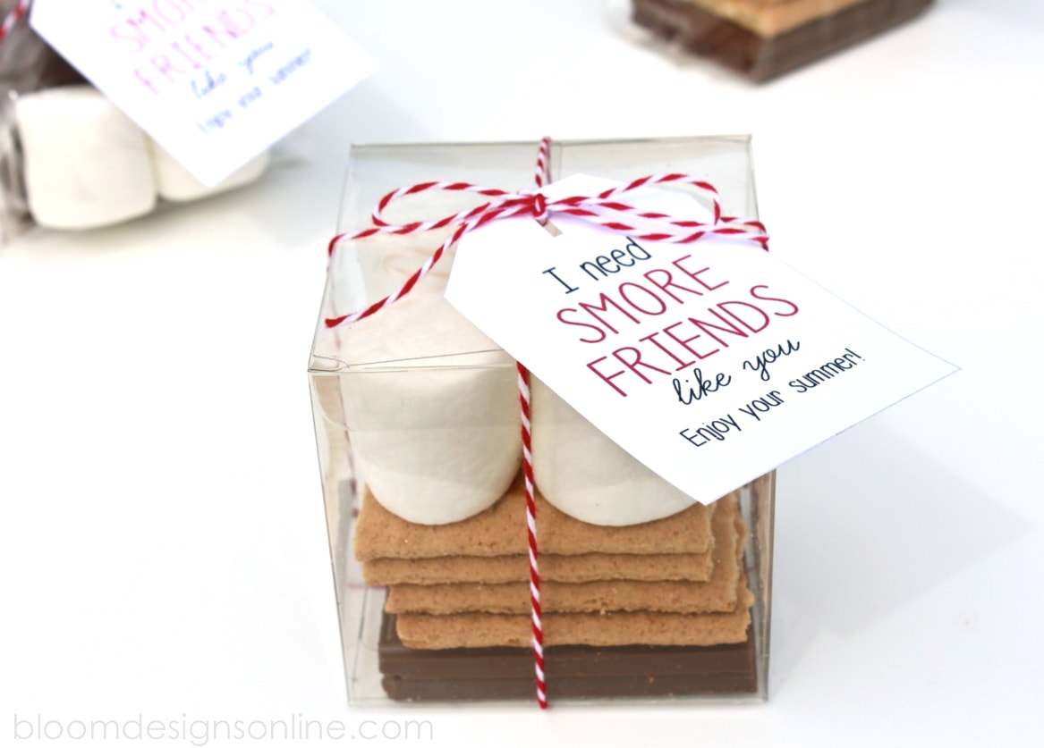 Cute End of the School Year Gift for Friends - I need Smore Friends like you! Free print on { lilluna.com } All your friend needs to make a delicious smore.