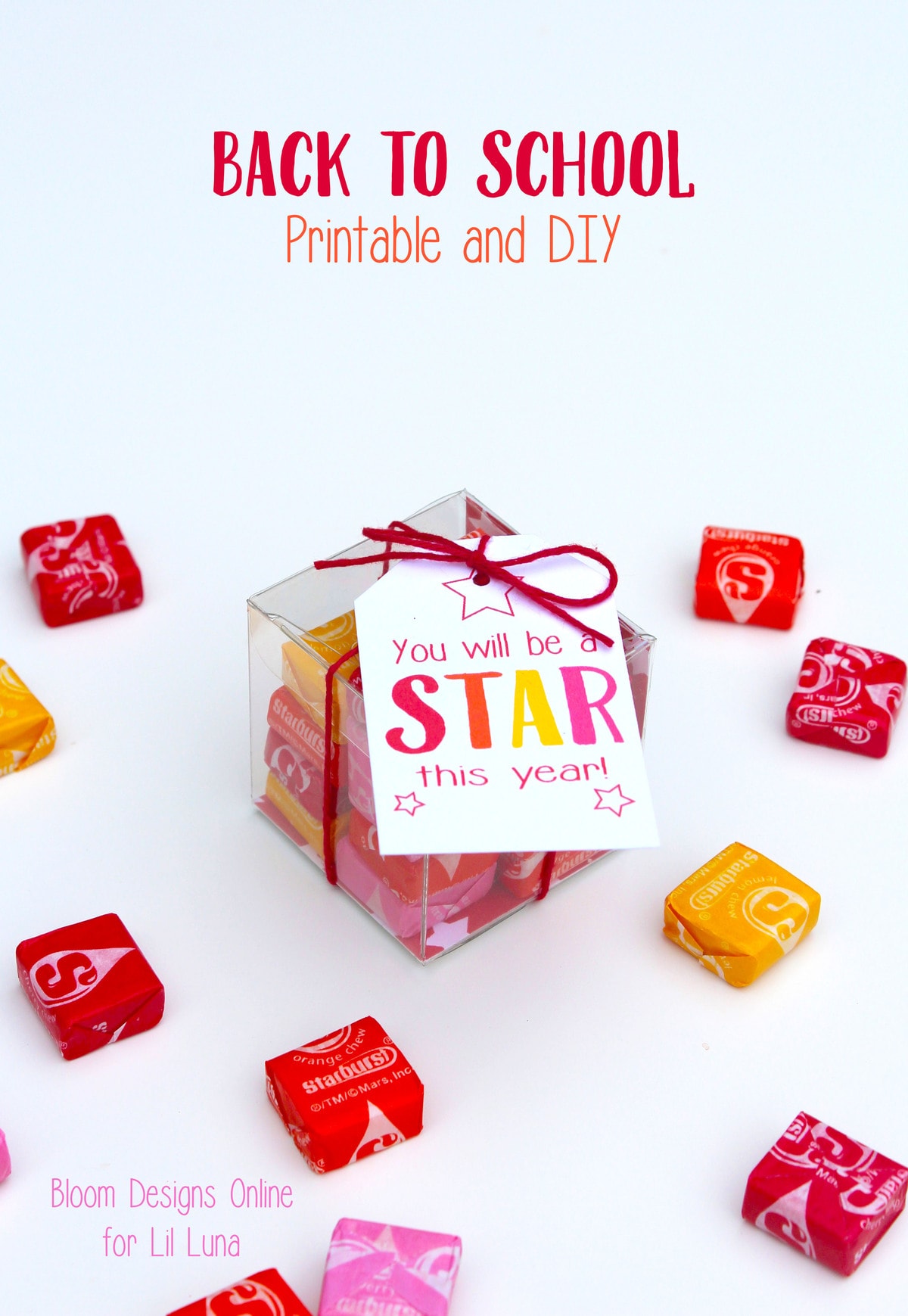 ADORABLE Back to School Gift Idea for the STAR in your family. Free prints on { lilluna.com }