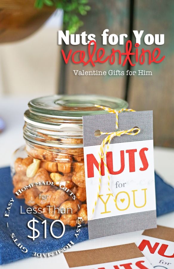 30+ Valentine's Gift Ideas for Him - a roundup of valentines gifts and treats for the hubby! { lilluna.com }