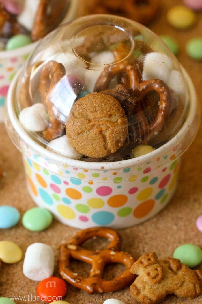 Quick and simple on-the-go Snack Mix perfect for the park or road trips. { lilluna.com }