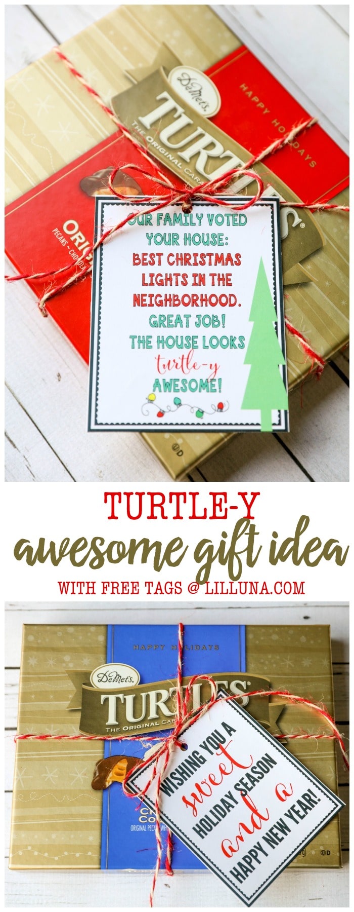 Turtle-y AWESOME gift idea!! A cute and simple gift idea to give this holiday season. Just attach the tags for a "sweet season" or to award to the "best Christmas lights in the neighborhood!"