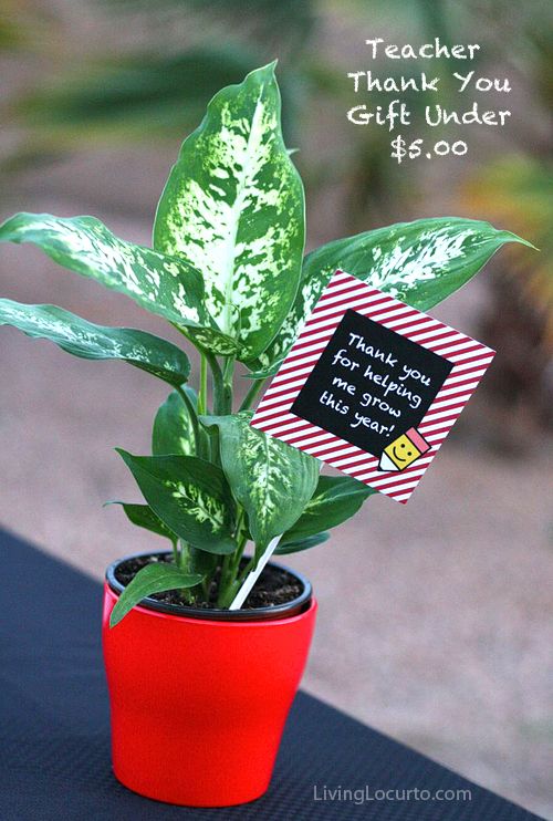 50+ Must-See Teacher Appreciate Gift Ideas on { lilluna.com } Lots of cute and easy to make ideas!