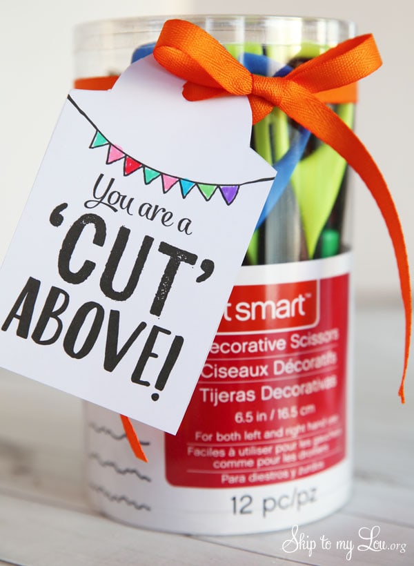 20+ Teacher Appreciation Gifts Ideas That Teachers Will Love