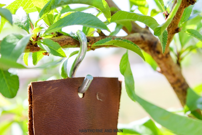 Check out this easy DIY Bird Feeder. What a fun way to get the kids outside and excited about seeing birds and only requires a few supplies. This one looks like a great project!