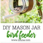 Check out this easy DIY Bird Feeder. What a fun way to get the kids outside and excited about seeing birds. This one looks like a great project!