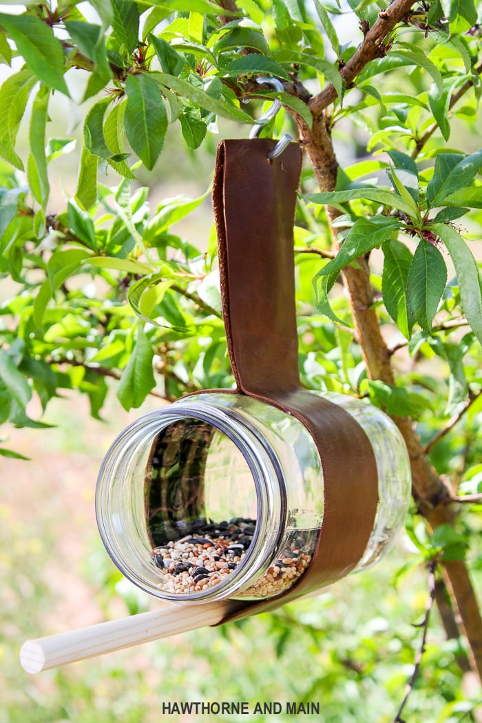 mason-jar-glass-bird-feeder-wtih-leather-strap port-5