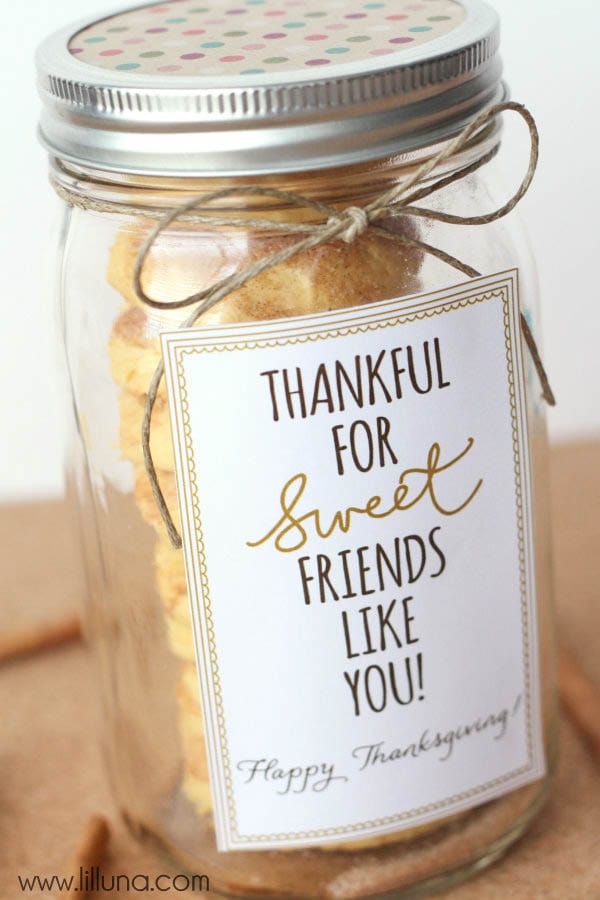 Thankful for Friends like You Gift Idea - CUTE! Such an easy idea - fill with delicious cake batter snickerdoodles, add your tag and ribbon and it's ready! Recipe on { lilluna.com }