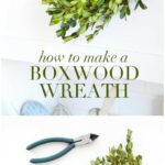 How to make a Boxwood wreath!! These wreaths are so versatile and add such a great pop of greenery where ever you place them!