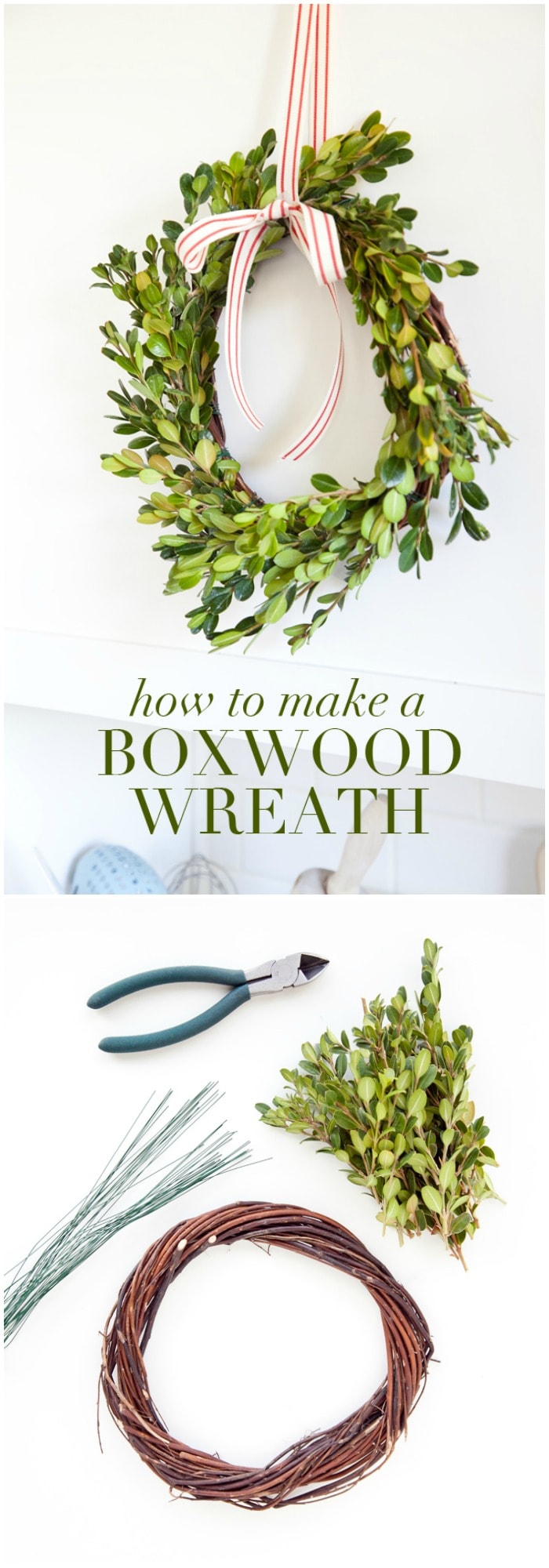 How to make a Boxwood wreath!! These wreaths are so versatile and add such a great pop of greenery where ever you place them! 