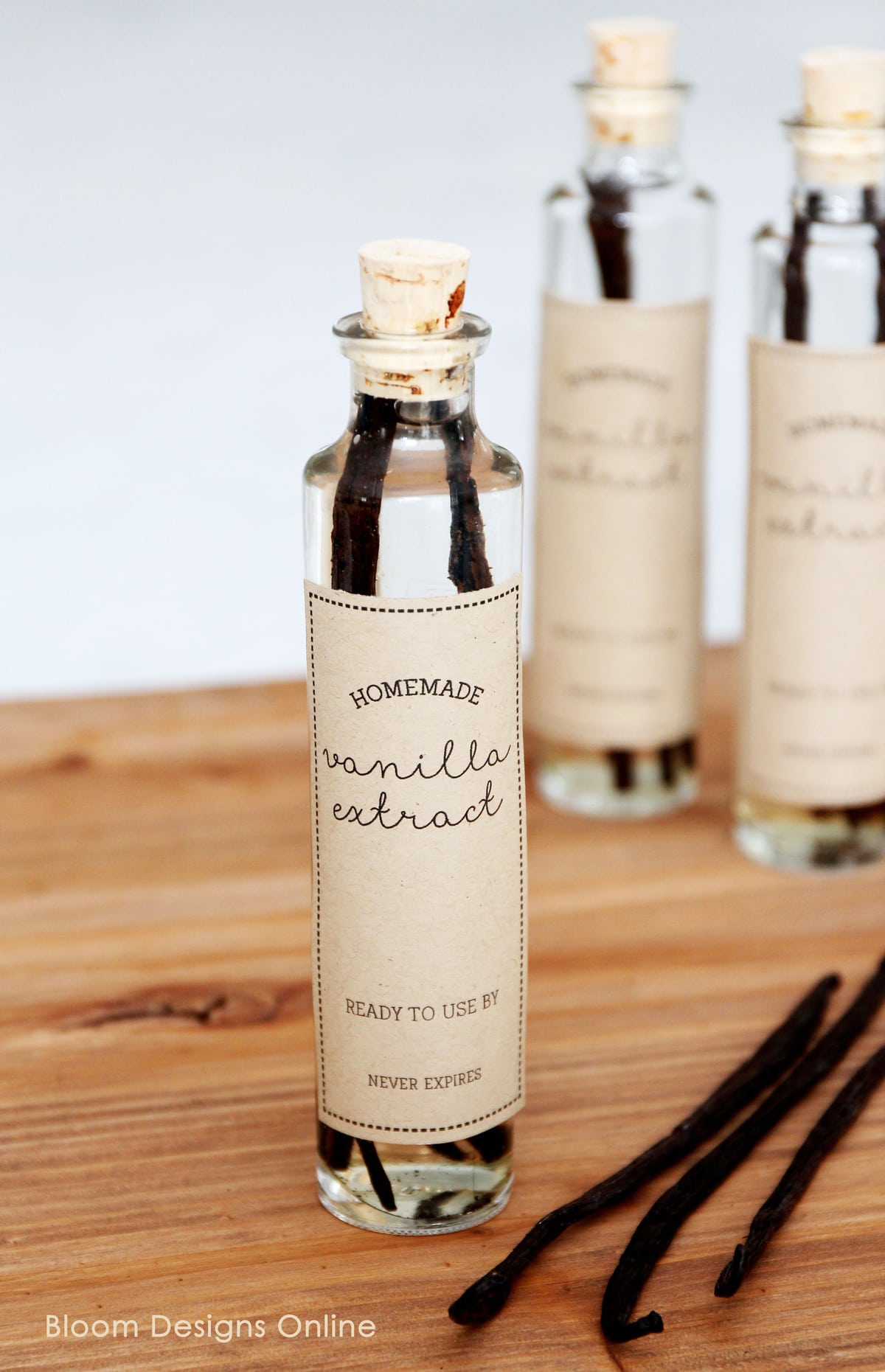Homemade Vanilla Extract and gift idea. Such a simple and yummy handmade gift idea for anytime (especially the holidays!!) Get the free printable tags for this cute gift!