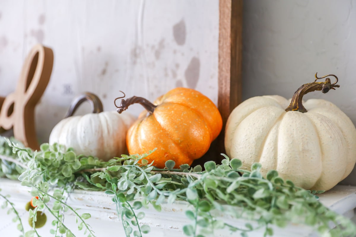 Ashland Pumpkins